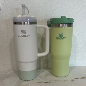 Stanley White and Light Green Tumbler Duo